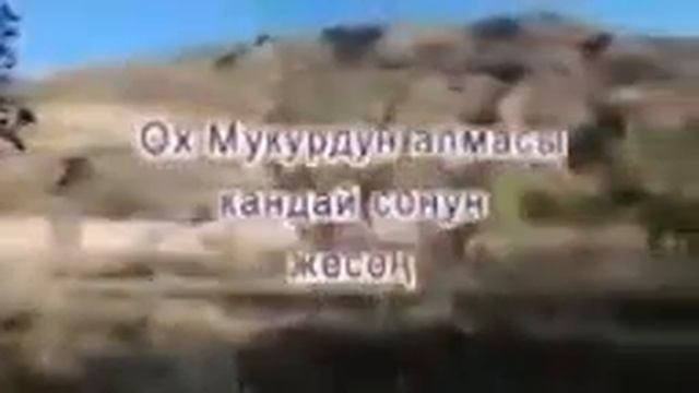 Мукур, Жерге Тал, Алма бак смотреть онлайн