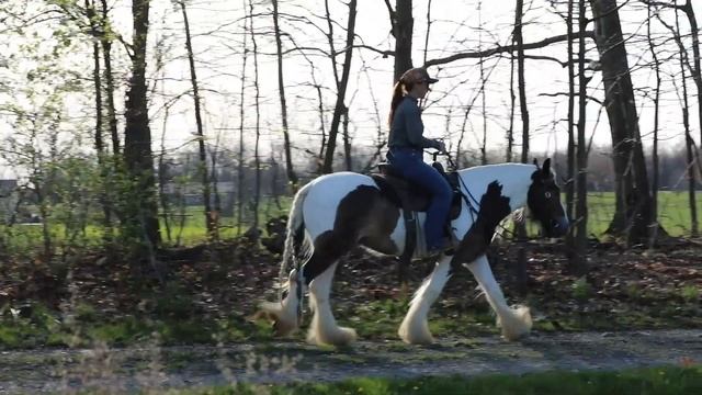 Mack KRS Signature Horse смотреть онлайн
