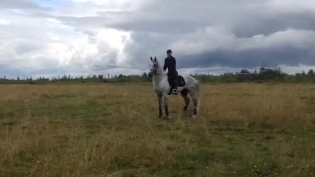 Победитель смотреть онлайн