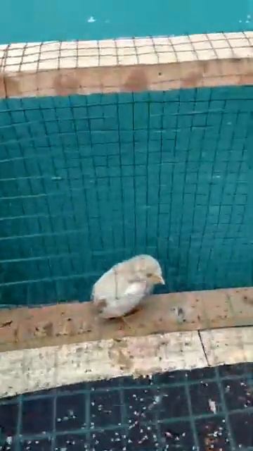 March 26, 2023 смотреть онлайн