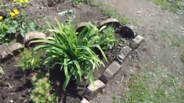 КРАСИВАЯ ГРЯДКА ДИЗИЙНЕРСКАЯ ПРОСТАЯ ЦВЕТОЧНАЯ смотреть онлайн