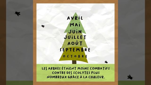 Le Vrai de la Forêt (6/8) – Le scolyte profite-t-il du changement climatique ? смотреть онлайн