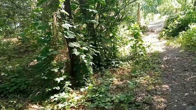 Славянск. 24 мая 2022г. Тишина... смотреть онлайн