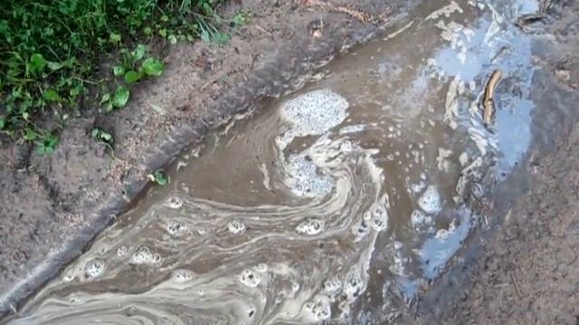 Обоссал всё! Pee on everything! смотреть онлайн