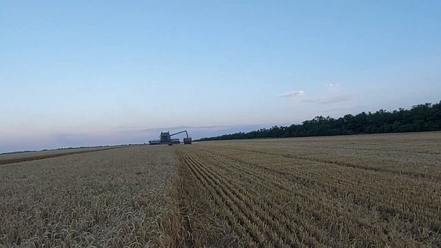 Почали жнивувать 🌾🌾🌾 Уборка озимой пшеници Шпаловка, на юге Украины на 02.07.2021