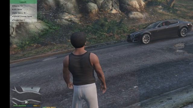 Grand Theft Auto V Вызов экстренных (служебных) служб 1 часть смотреть онлайн