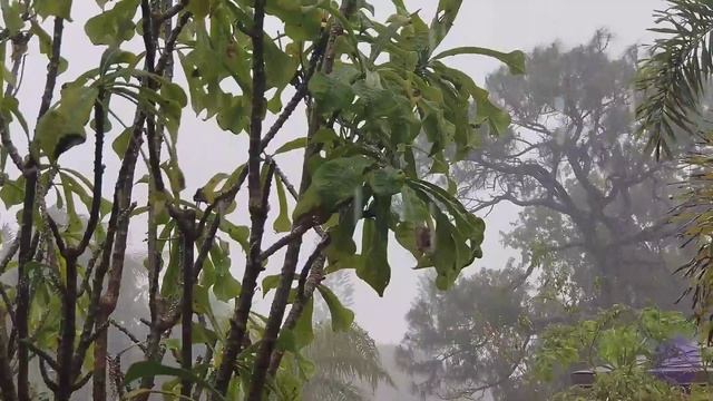 Послушайте Красивый Нашид 🥀❤️🩹|  Listen Beautiful Nasheed | نشيد جميل🌹🕋