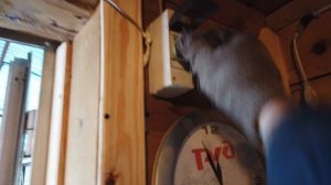 каркасная баня из опилок 4 года.