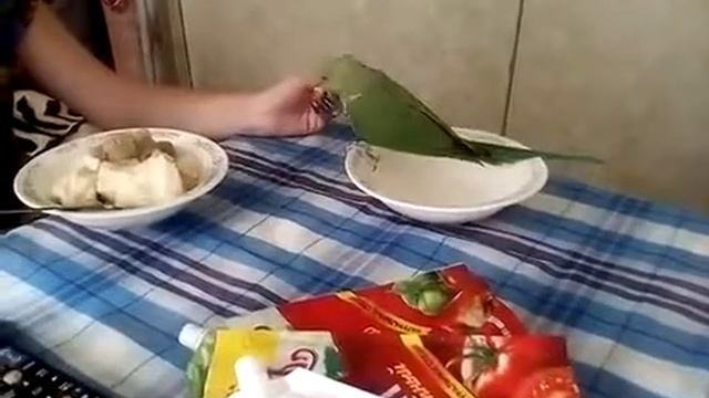 Попугай и вилка