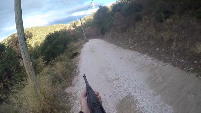 Tirs En Pagaille SANGLIER Chevreuil Saisons 2016/2017 Var