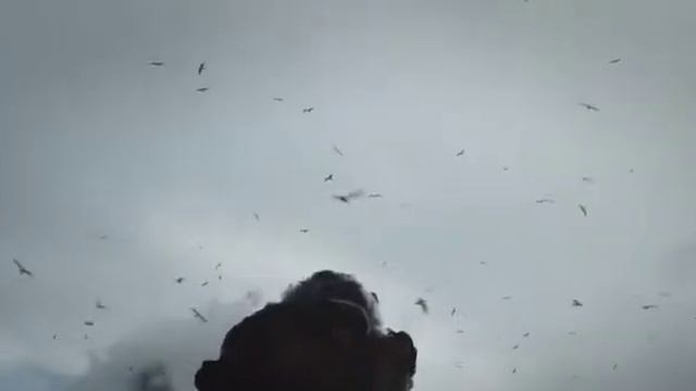 БОМБИЧЕСКИЙ ФИЛЬМ "пистолера" смотреть онлайн