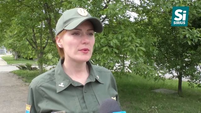 Черги на КПП Тиса смотреть онлайн