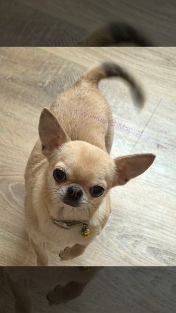 С праздником весны!