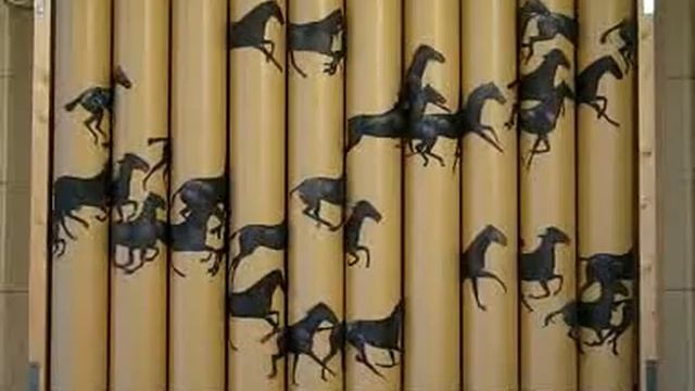 chevaux.flv смотреть онлайн