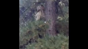 Тайга.1 серия