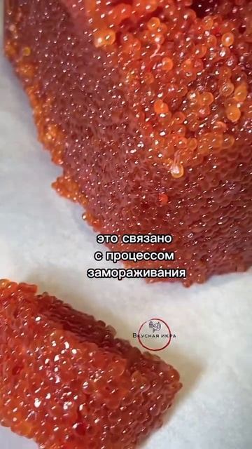 Дикий мир в полном размахе