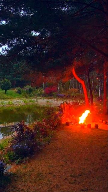 ОГОНЬ В НОЧИ \ FIRE IN THE NIGHT смотреть онлайн