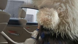 ва марьяна марьяна | by redland