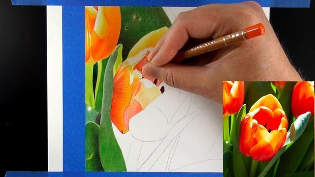 Hour 6 Of Tulip Patreon Tutorial смотреть онлайн