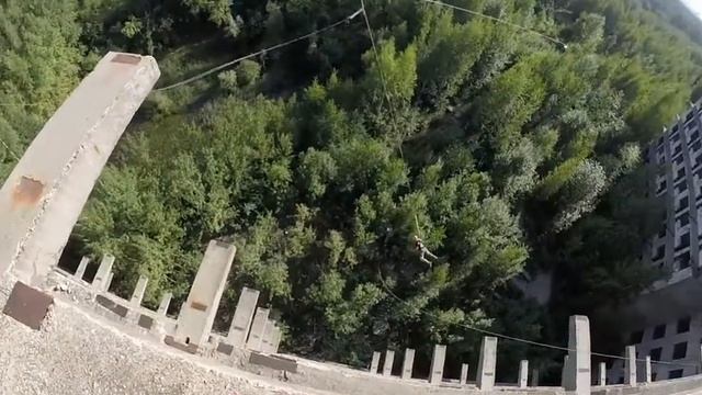 31.07.16 Дельфин