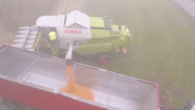 Körnermaisernte mit CLAAS Tucano 470 смотреть онлайн