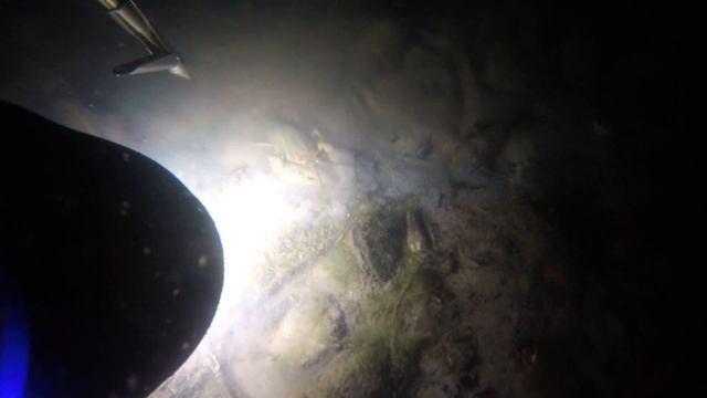 Осенняя подводная охота. смотреть онлайн