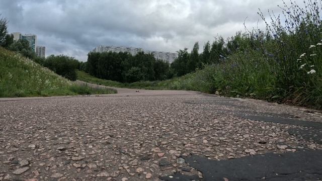 Zd Racing Mx-07 Racing