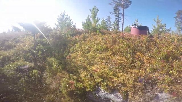 із України в Швецію, 12, красива країна / beautiful Sweden смотреть онлайн
