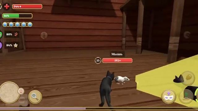 Играем в симулятор кота и кошки #1 смотреть онлайн