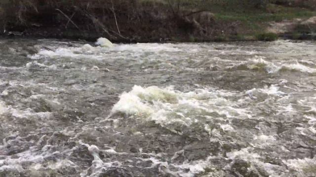 IMG 2108 смотреть онлайн