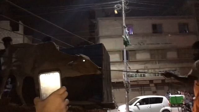 Vlog | Finally Pehla Truck Agaya Elaqe Me 22 Janwar Aye | Bakra Eid Vibes 2k24