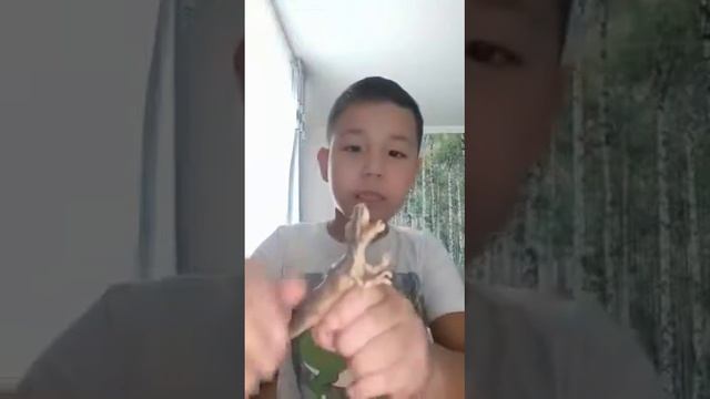 Тиранозавр! Это круто ребята!!!