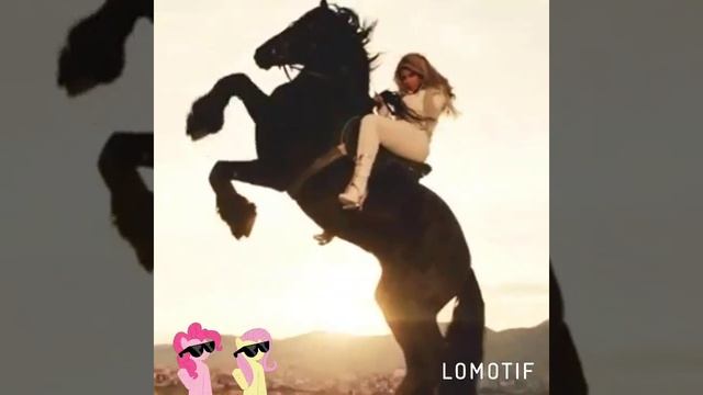 Клип про лошадей😂 смотреть онлайн