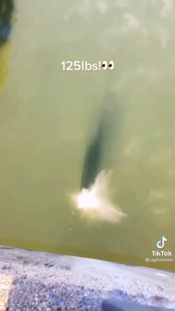 Кинул огромный камень в озеро/ высота 200 метров#shorts смотреть онлайн