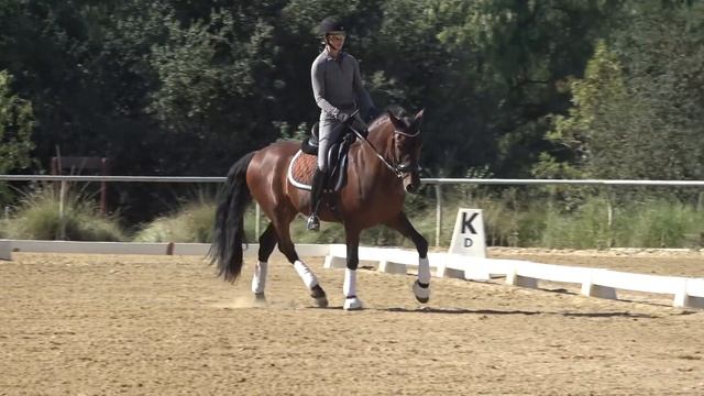 The Canter Transition смотреть онлайн