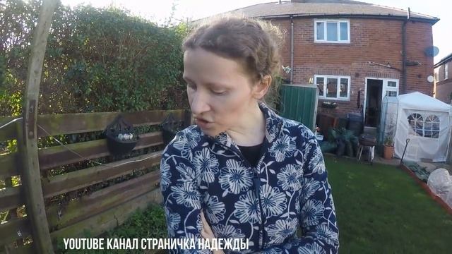 Влог Коммунизм в головах Дафнии в пруду смотреть онлайн