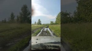 ауди а6с5 на бездорожье .