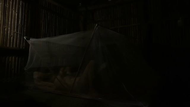 My Sister Came To Visit For The First Time. Give Your Sister Chickens And Ducks. Visit Her New Hous