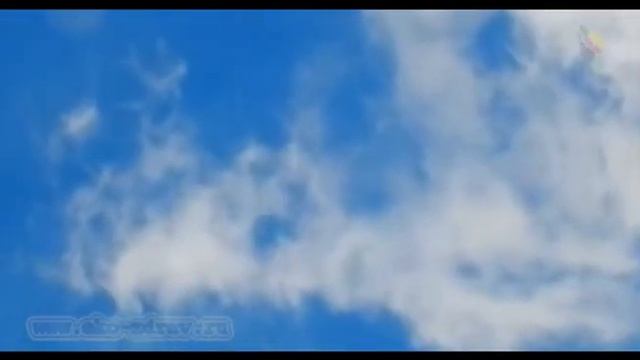 Самые правильные решения смотреть онлайн
