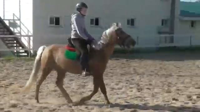 Аладин 1 смотреть онлайн