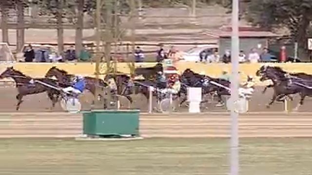 IKEBANA GRIF A Roma 27/09/2008