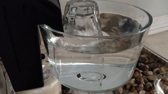 Cat Water Fountain DIY |Quick And Easy