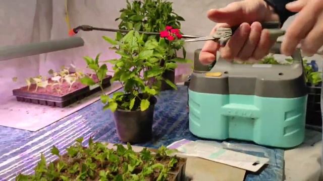 садовые ножницы ZĚMA ZM 2001 обзор от Зёмы Евгения Кутьина