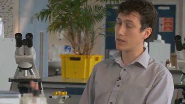Career Advice on becoming an Electrical Engineer by Allan H (Full Version) смотреть онлайн