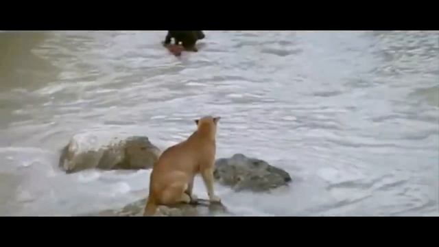 Frunz Arsenyan  Im Nexutyans Mej Kancheci Qez Ov Ter.