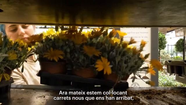 Mini reel web Can Marines смотреть онлайн