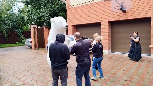 Белый медведь на день рождения. Москва. смотреть онлайн