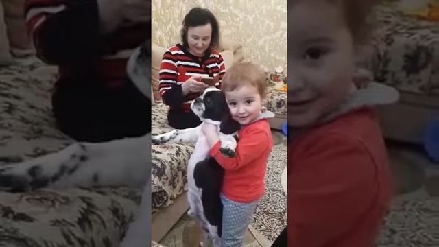 София и Гуччи смотреть онлайн