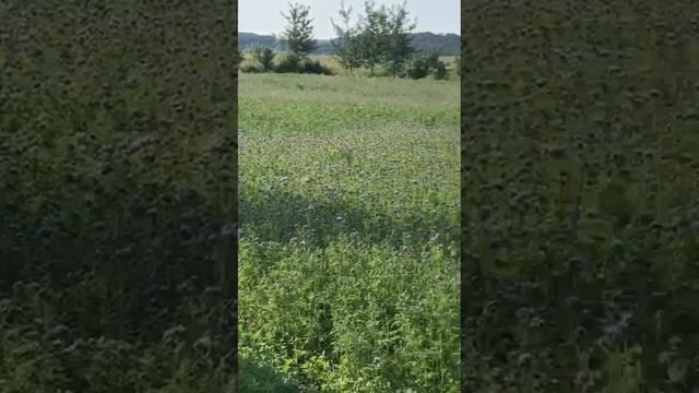 19 июня 2023 г.(1)