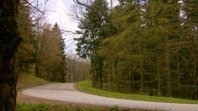 All new 2016 Audi SQ7 TDI - camera car / driving scenes смотреть онлайн